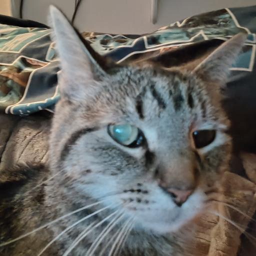 Emmitt093024