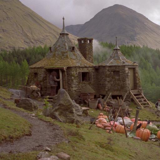 Hagrids_hut