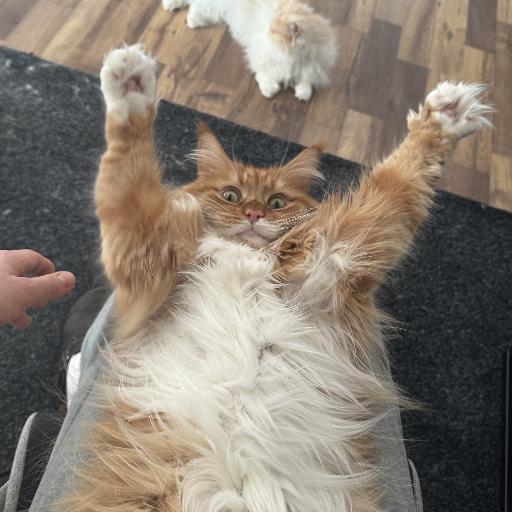 Max_mit_Katz
