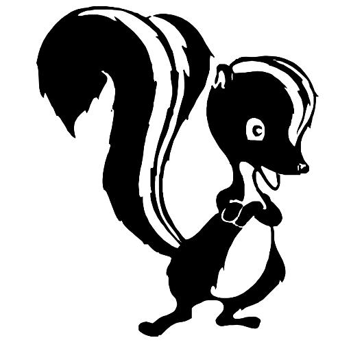 SkunkWorks14