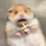screambady