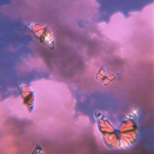 AkButterfly9Hoe7
