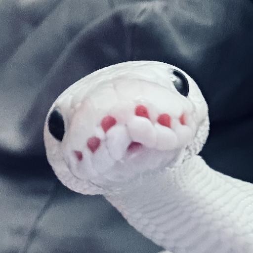 SnekDad