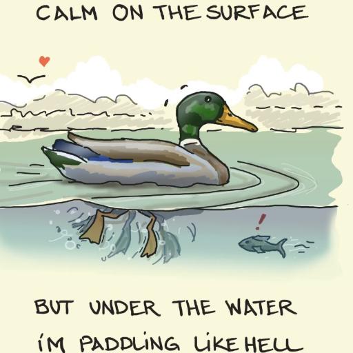 Belikeaduck