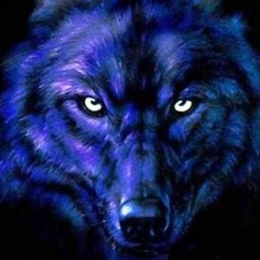 Direwolf26