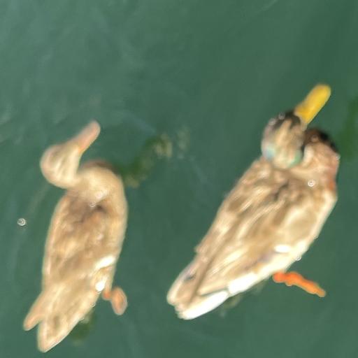 gpickle