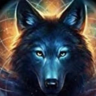 drkwolf