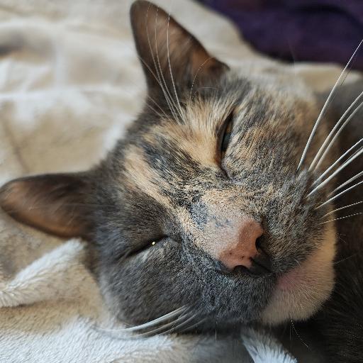 CreepyKat