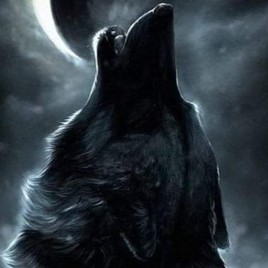 BeoWolf723