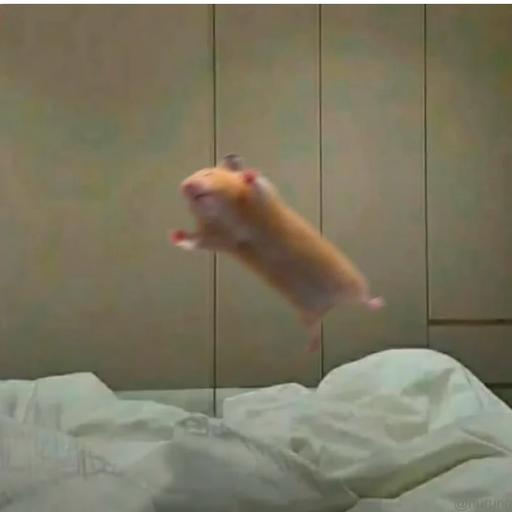 DaBard