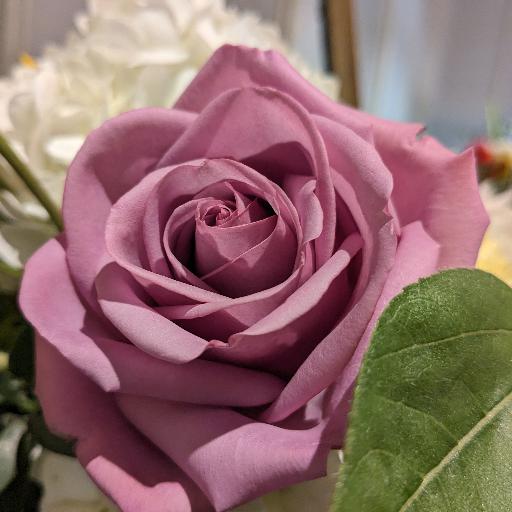 AutumnRose668