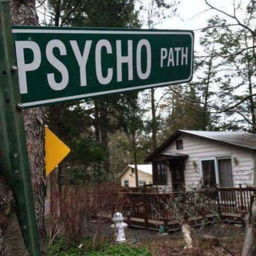 Horrorfan1031
