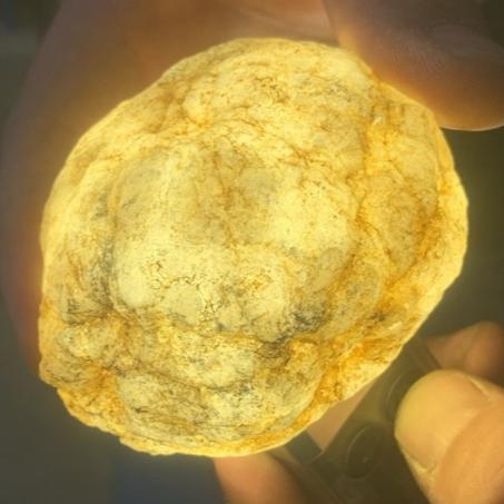 CookieCrumble