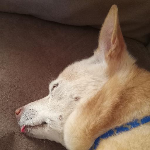spoiled