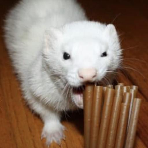 Dodjeit