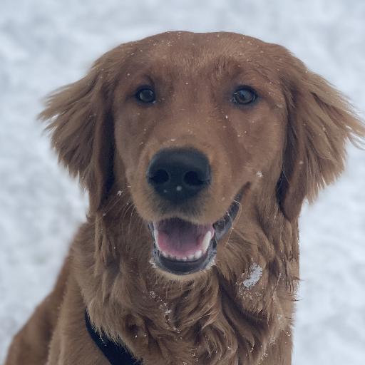 WhiskeyBob