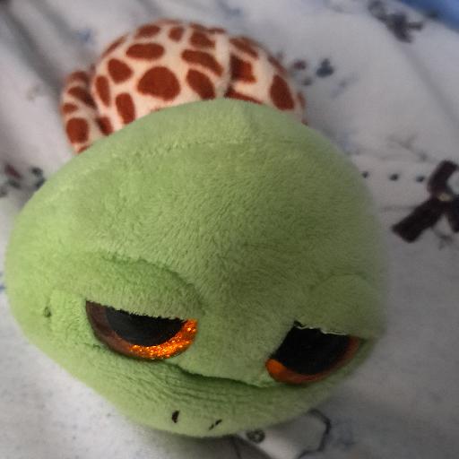TURTUR