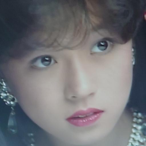 shima555