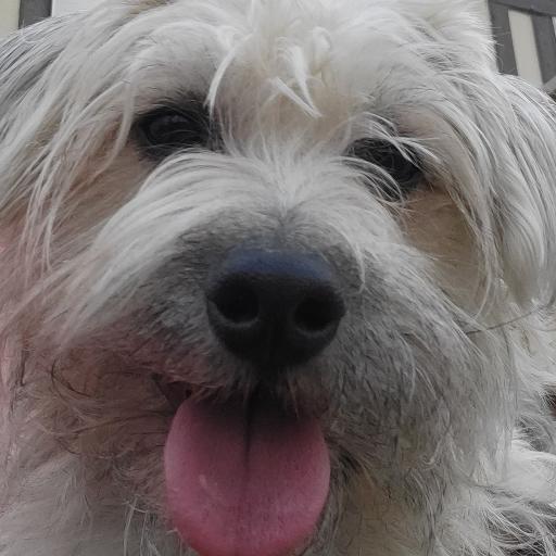 lilsniff