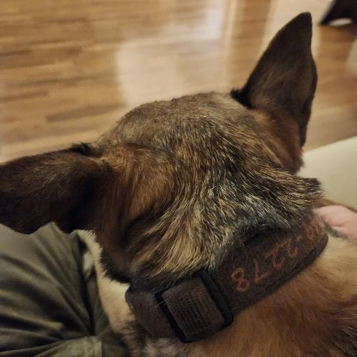BugsyWoofers