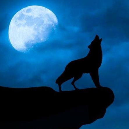 RandoWulf