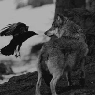 Paganwolf