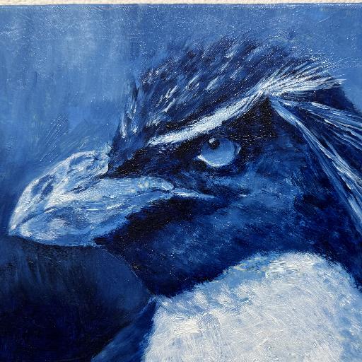 RockhopperSun