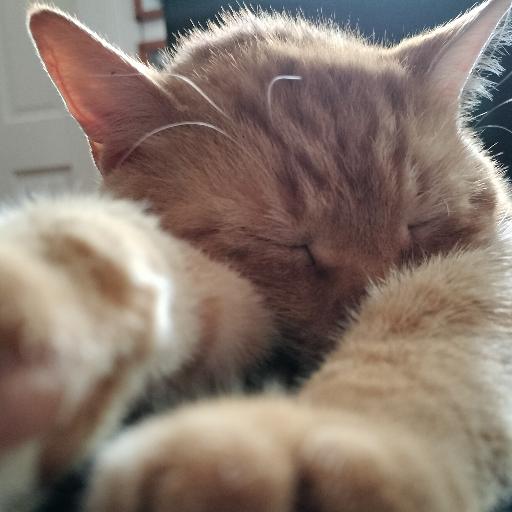 TiggTigg
