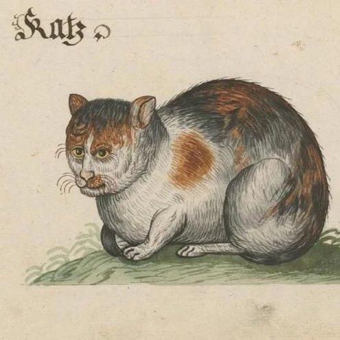 Schokobus
