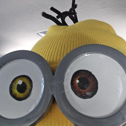 MayorWalmartMinion