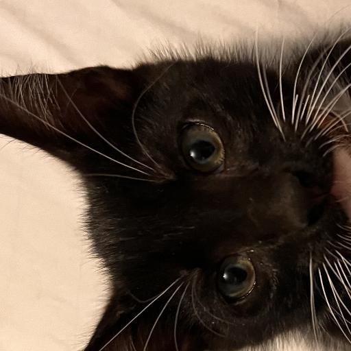 Tuxfriend