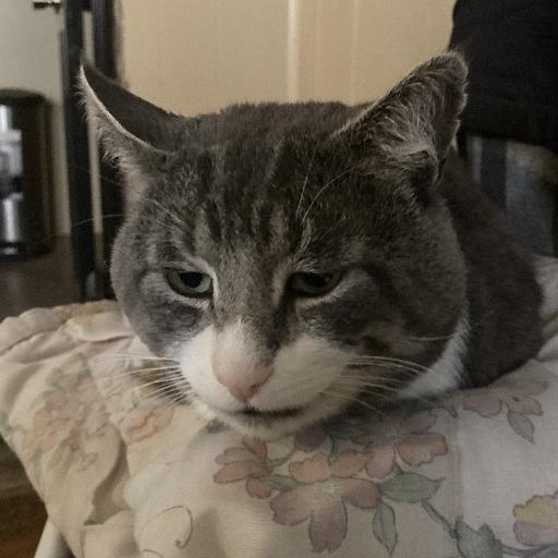 Bennyp5999
