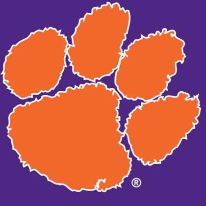 ClemsonTigers91