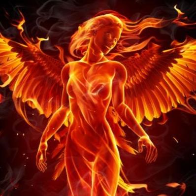 Phoenixrise7