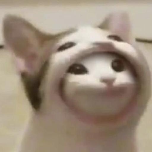 Guidoge