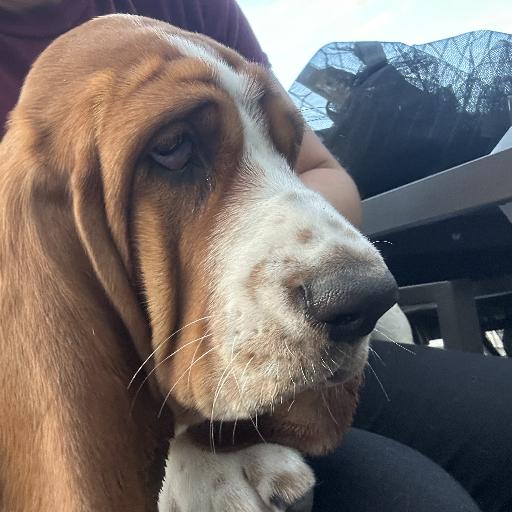 HunterHound87