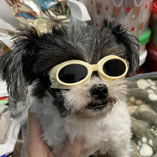 BruticusRules