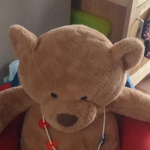 Baby_bear17