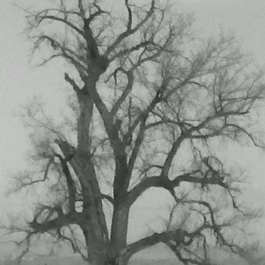 (Unknown)