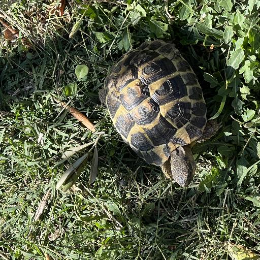ZERKAN