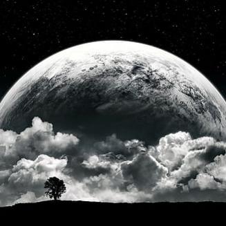 WickedWrld