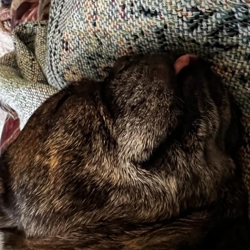 PuppinMama