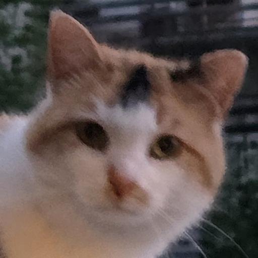 BolimBa