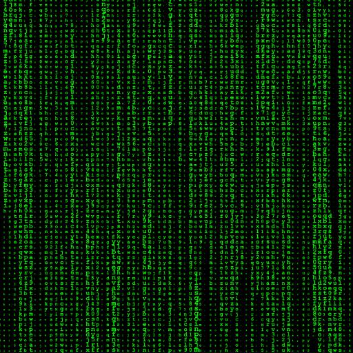 Z81DLN
