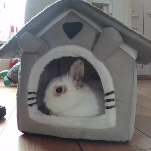 Plakkediepoepie