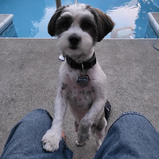 Bobmason