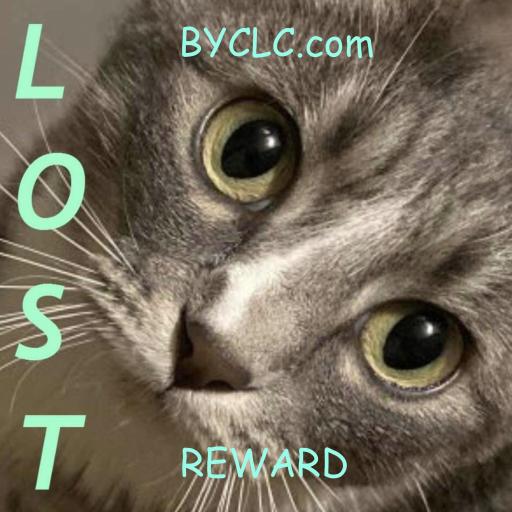 byclc_dot_com
