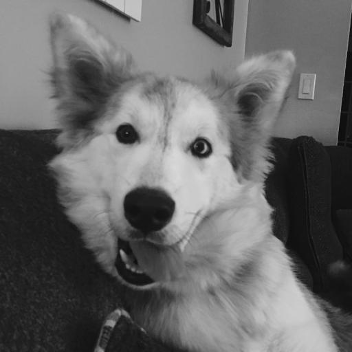 Dognana