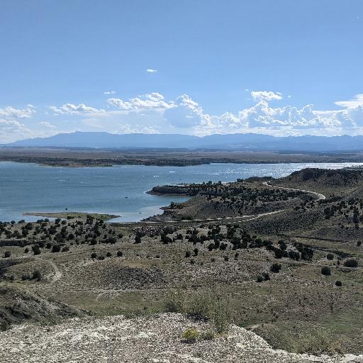 BatOuttaColorado