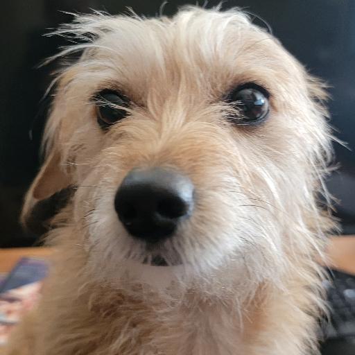 Bertbeer1